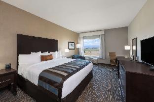 Wyndham Garden Orlando Universal / I Drive Номер фото